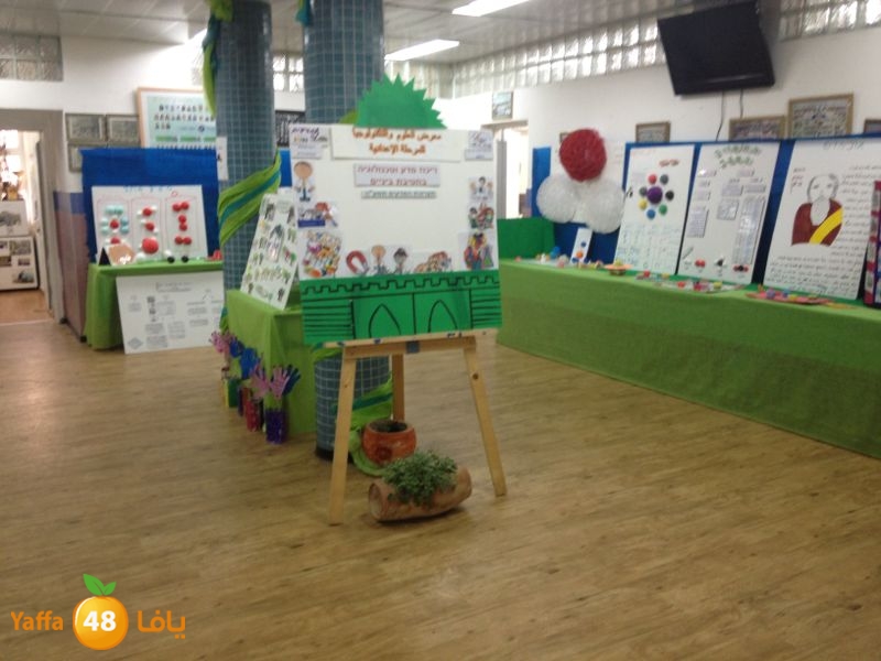 chemstery shamlea (12).jpg